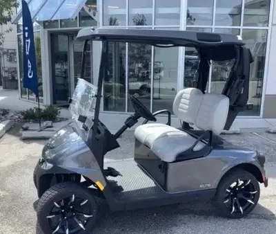 These are my last 3 new 2024 EZGO Lithium carts in stock. Discount pricing before the 2025's arrive....