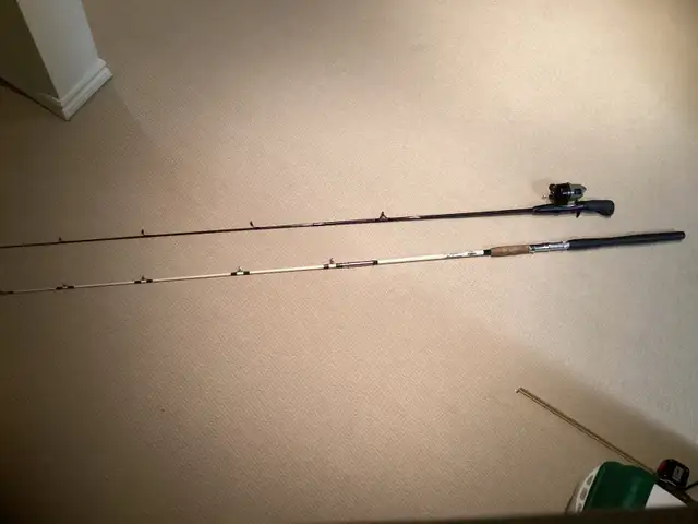 Fishing rods and one reel in Fishing, Camping & Outdoors in Owen Sound - Image 2