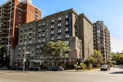 3 1/2 Downtown condo available for rent (1 bedroom, 1 bathroom, 1 kitchen, 1 living room, 1 laundry/...