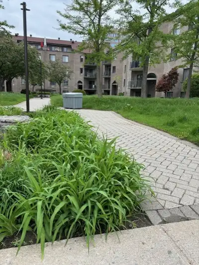 A louer - Condo 4 1/2 Laval