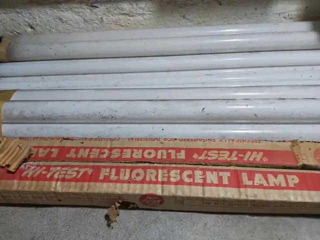 Light Bulbs  in Indoor Lighting & Fans in Ottawa - Image 2