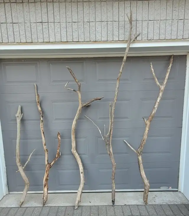 Driftwood for Special Projects