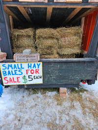 Small Square Baled Hay For Sale