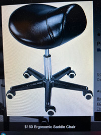 $150 Ergonomic Saddle Chair