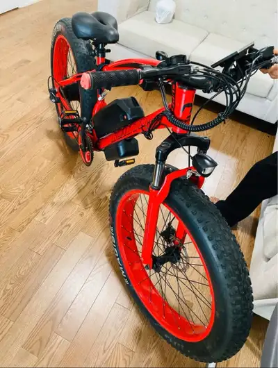 Brand New Ebike