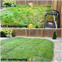 Landscaping & grass cutting & cleanup 