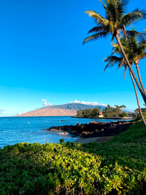 Maui Kihei 2  bedroom in Hawaii - Image 3