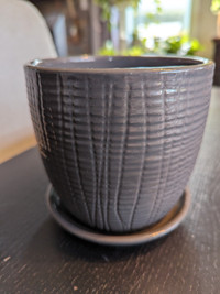 Plante Cache pot céramique gris 