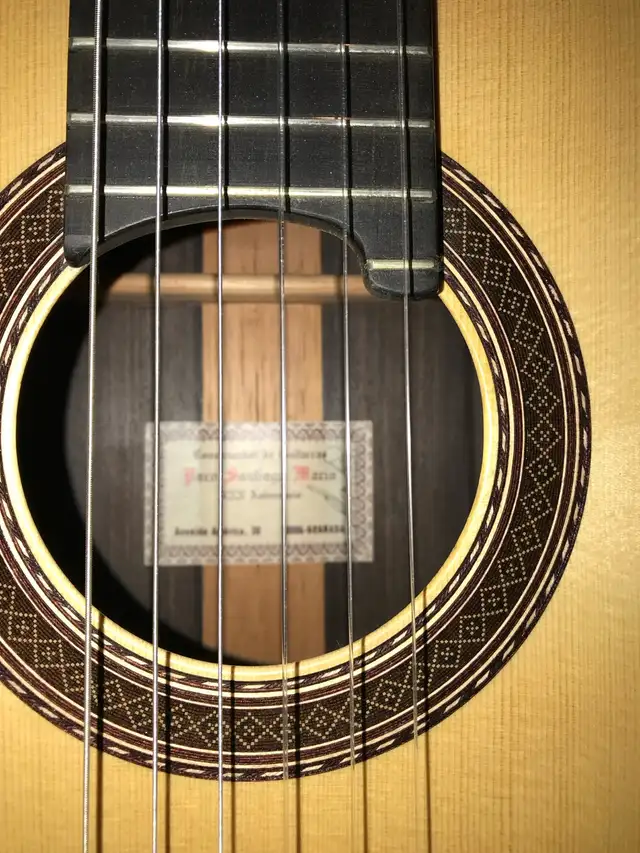 PACO SANTIAGO MARIN XXX ANNIVERSARY CLASSIC GUITAR in Guitars in Ottawa - Image 5
