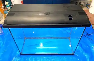 40 Gallon Fish Tank, View more