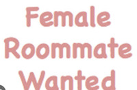 Roommate wanted 