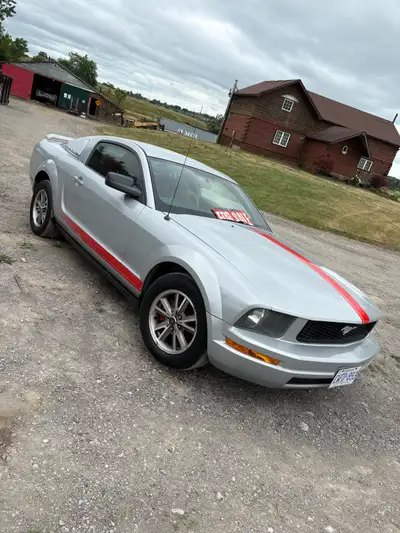 2005 mustang V6 for sale Very clean car no rust Red leather interior in great shape Bluetooth radio...