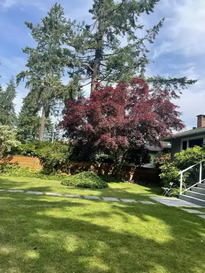 STUNNING RENOVATED ROOM IN PRIME NORTH VANCOUVER LOCATION ✨ Steps to Bus • Walk to Superstore • Minu...