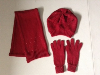 Hat, Scarf & Gloves with Bead Trim - Brand New! in Women's - Other in Winnipeg