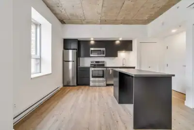 Très beau loft situé sur l’avenue de Vimy, disponible pour location à partir de maintenant ! 1150 $...