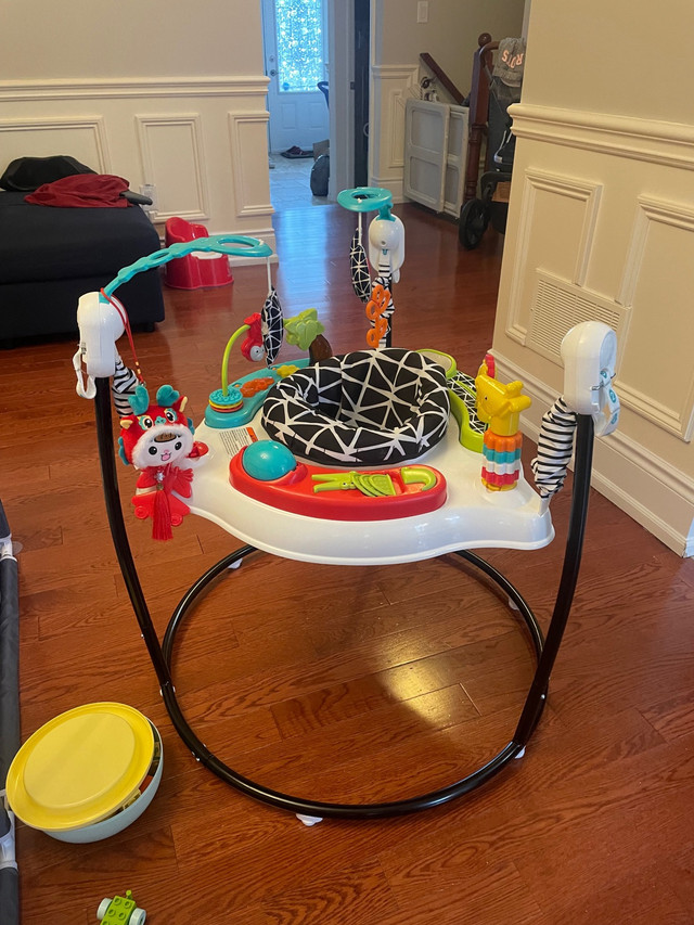 90% new Fisher Price Jumperoo in Toys in Oakville / Halton Region