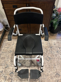 Bedside commode/shower/wheelchair