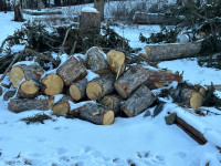 Firewood - spruce