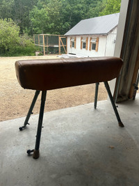 Vintage Pommel Horse Winnipeg Manitoba Preview