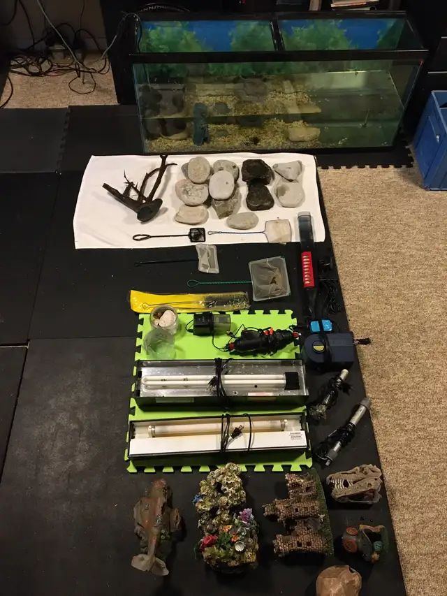 AQUARIUM STUFF FOR SALE ROCKS TANKS ETC - Pickering  in Fish for Rehoming in City of Toronto - Image 7