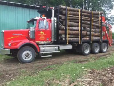Log length mixed softwood firewood for sale, good for outdoors furnaces, campfires, bundle wood and...