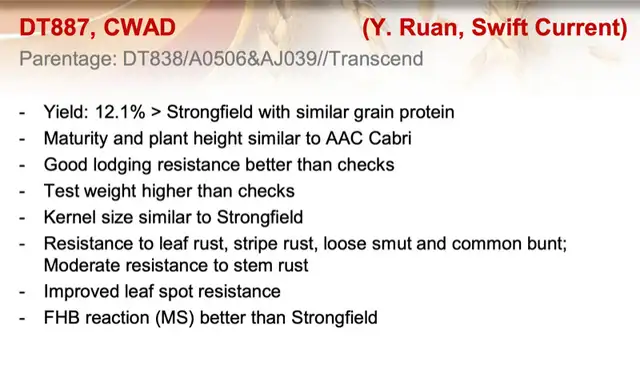 GoldNet Durum Seed - Certified Seed in Other in Lethbridge - Image 6