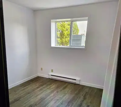 One room for rent