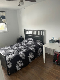 Chambre Disponible Maintenant/Room for Rent: Available Now 