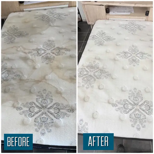 Mattress Cleaning From $59 | Odors, Stains & Allergens
