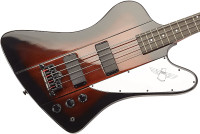 Reverse Thunderbird Bass guitar