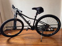 Mountain Bike (Narco Charger 9.3)