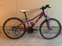 Liv Enchant Kids Bike 