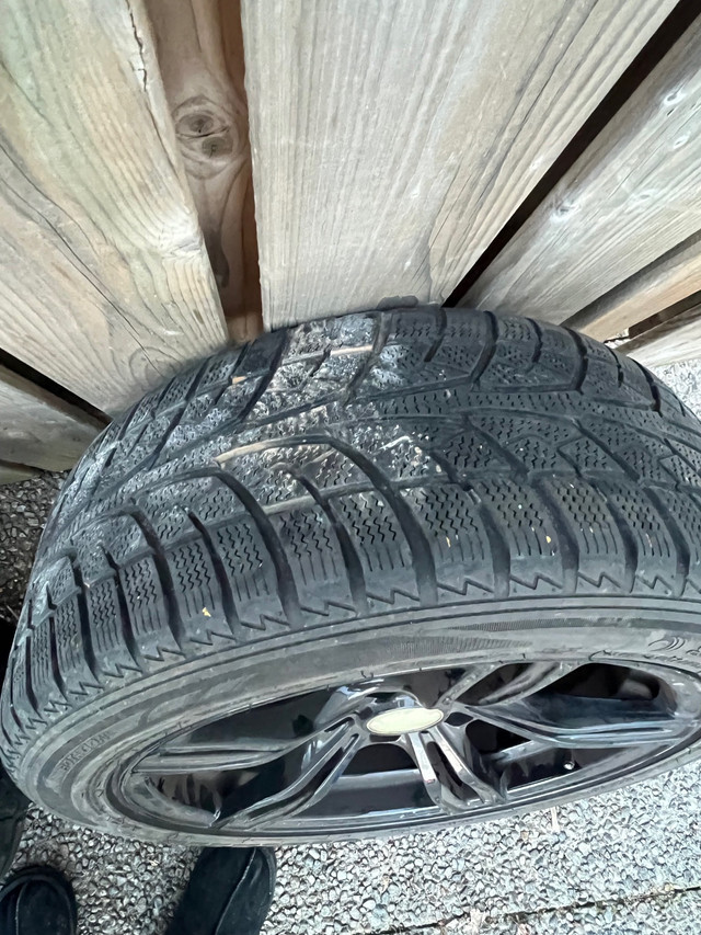 Bmw rims and tires  in Tires & Rims in Hamilton