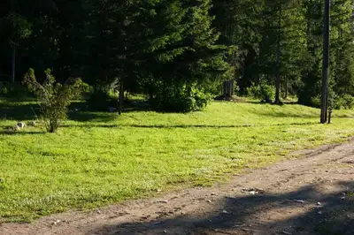 Seasonal Sites located centrally between Salmo, Fruitvale, Trail, Rossland, Castlegar and Nelson. Sw...