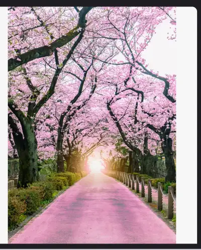 Personal Support Worker, View more