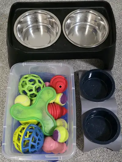 Puppy startup kit, View more