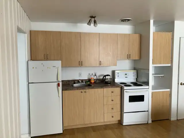 Appartement 3 1/2 à louer, Chicoutimi, UQAC in Long Term Rentals in Saguenay - Image 6