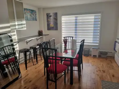 Logement 5 1/2 rénové au goût du jour situé au centre-ville de Trois-Rivières à une minute du termin...