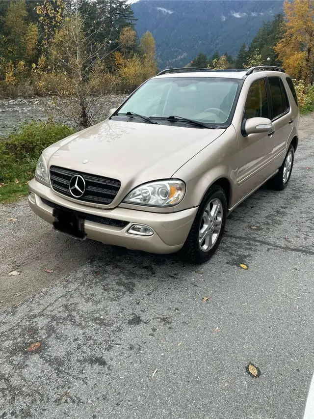 2003 Mercedes Benz M-Class in Cars & Trucks in Hope / Kent - Image 10