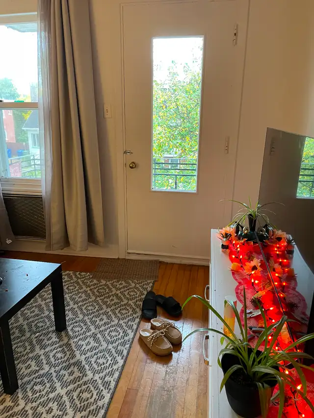$900 Beau grand 3 1/2 à louer, secteur Maizereth in Long Term Rentals in Québec City - Image 4