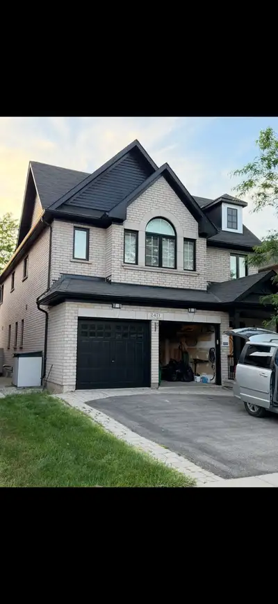 Professional painters, View more