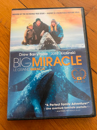 Film Le grand miracle