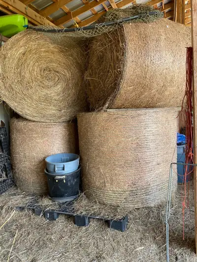 This is good hay for horses that need low sugar and starch. Well under 10%,I had the hay field teste...