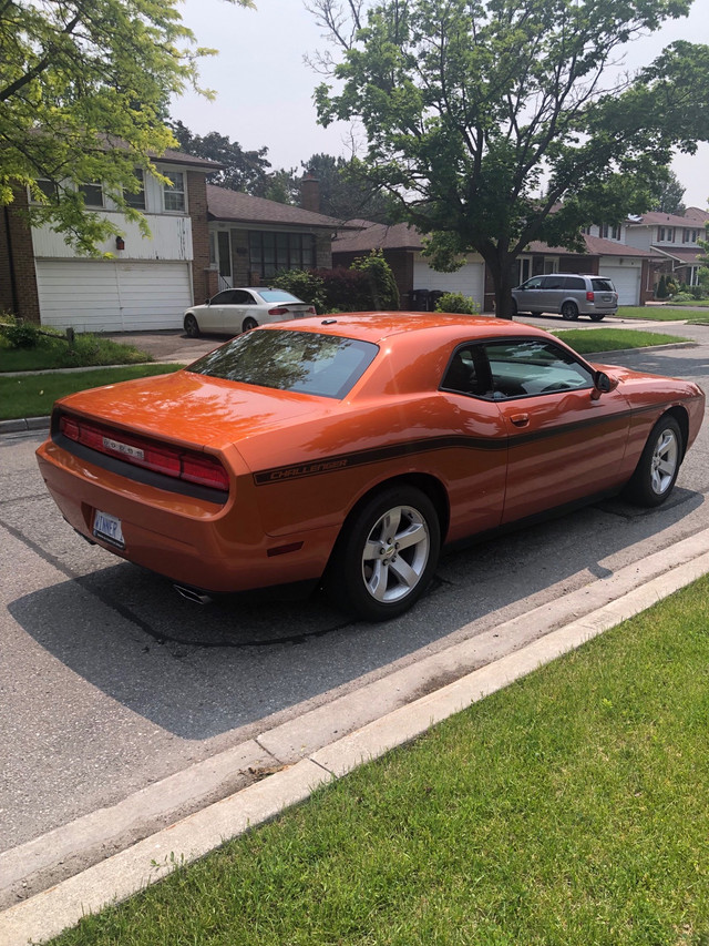 Rare, toxic, orange in Cars & Trucks in City of Toronto - Image 3