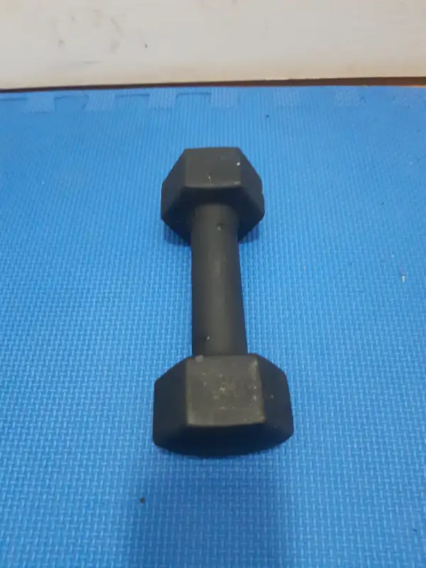 dumbbells in Exercise Equipment in Delta/Surrey/Langley - Image 4