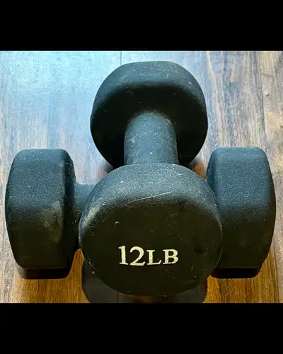 Pair of 12lb dumbbells, View more