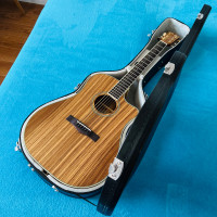 Guitar Electro Acoustic Fender Zebrano