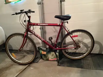 Men’s C15 Daser Bicycle, View more