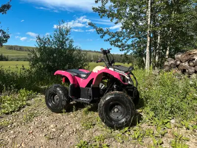 FOR SALE: Tao Tao 110cc Kids Quad – Upgraded & Reliable – $700 OBO Great little ATV for younger ride...
