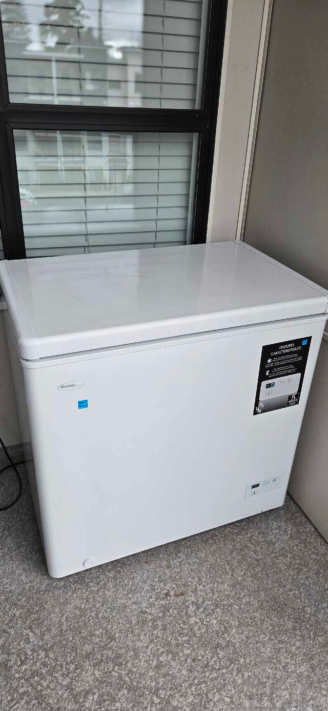 Danby 7 cu ft Convertible Chest Freezer or Refrigerator with 5  in Freezers in Delta/Surrey/Langley - Image 3